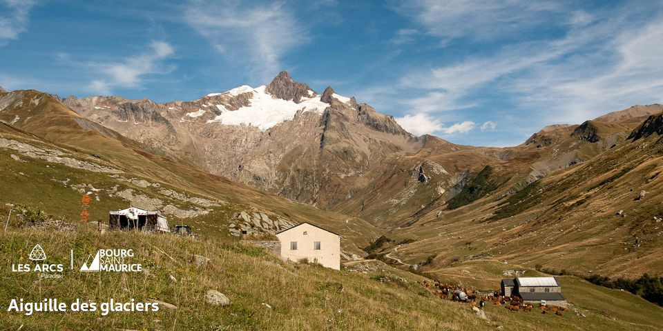 aiguille des glaciers_BSM.jpg